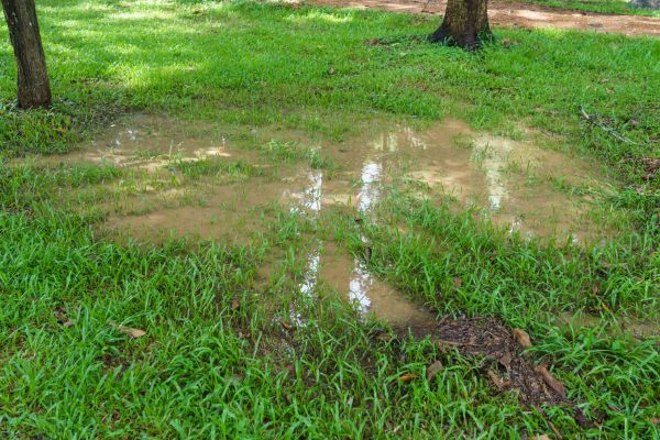 Cost of Storm Water Drainage Service in Salem