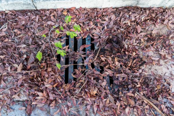 Cost of Yard Drain Unclogging in Salem