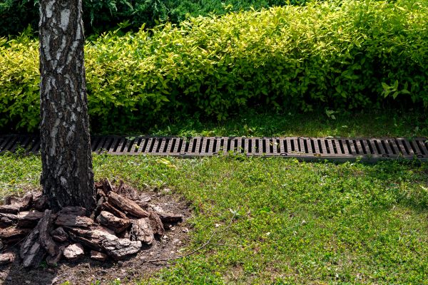 Cost of Wet Yard Drainage in Salem