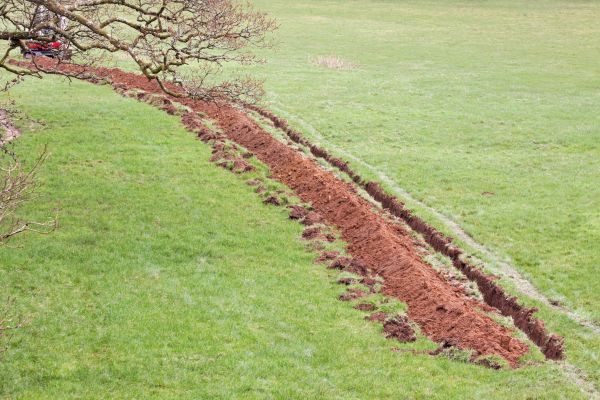 Cost of Swale Installation in Salem