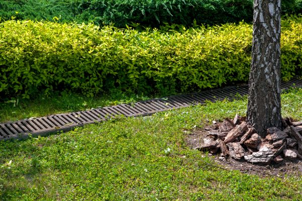 Cost of Residential Landscape Drainage in Salem