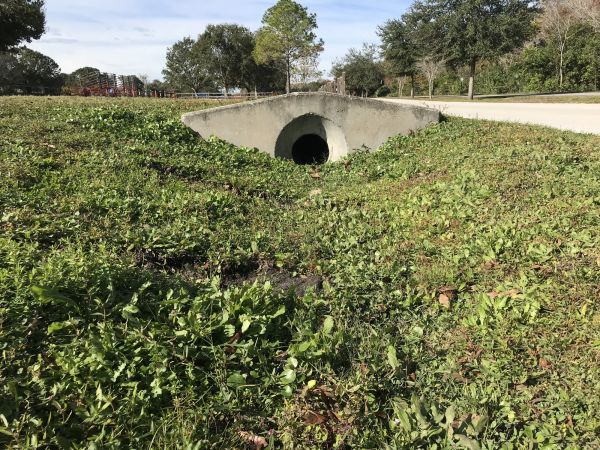 Cost of Swale Drainage Service in Salem