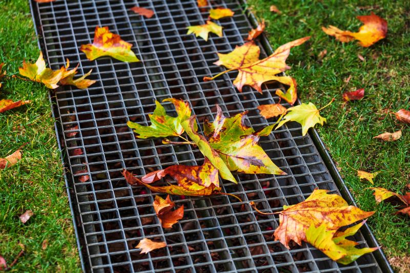 Yard Drain Maintenance